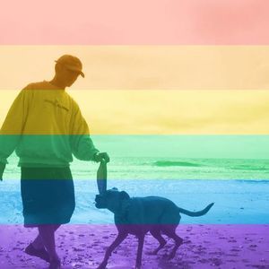 Meet your Posher, Steve